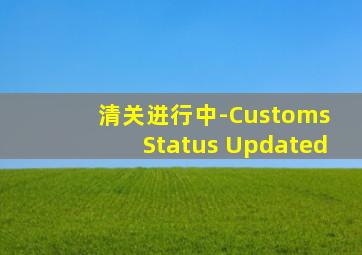 清关进行中-Customs Status Updated